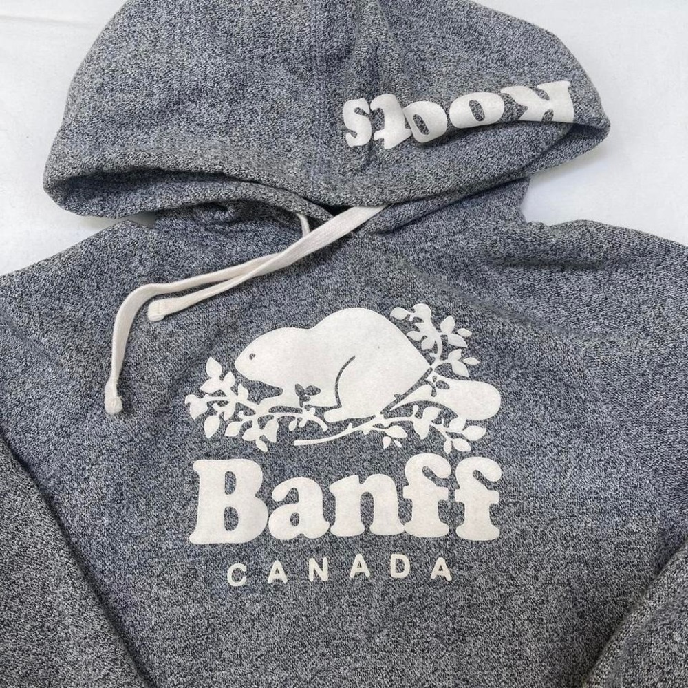 Roots grey hoodie - Picture 3 of 8